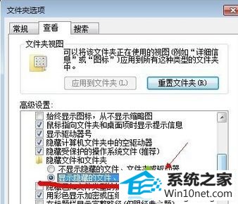 勾选“显示隐藏文件、文件夹” win10系统打开U盘发现文件全部变成.exe结尾的可执行文件的图文步骤