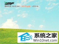 <b>ľ Win10 x641809רҵ棩v2019.06</b>