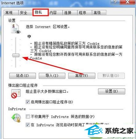 选择“隐私” win10系统打开浏览器提示”浏览器Cookie功能被禁,请开启此功能“的解决方法