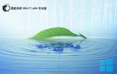 <b>ϵͳwin11 64λƷͨðv2025.05</b>